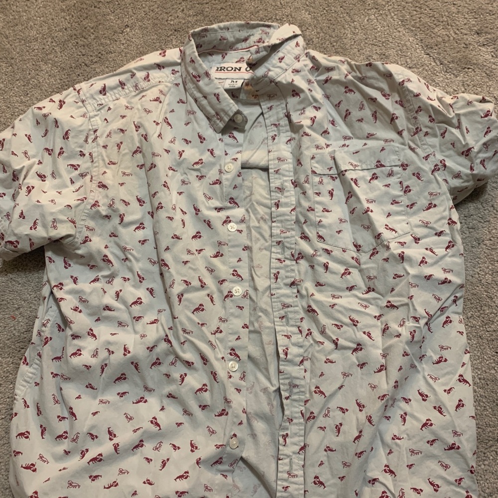button down shirt